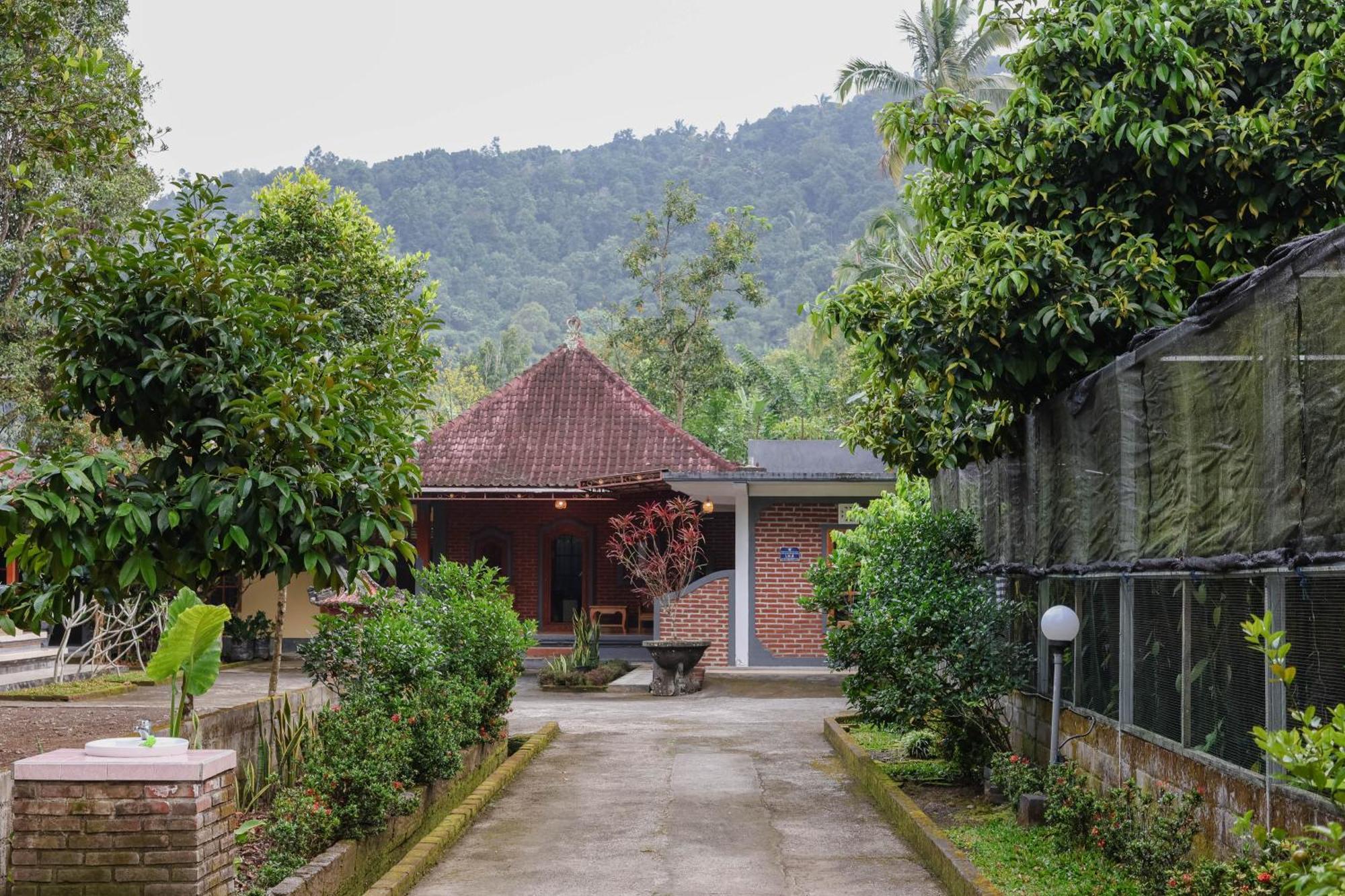 The Kori Homestay Munduk Buitenkant foto